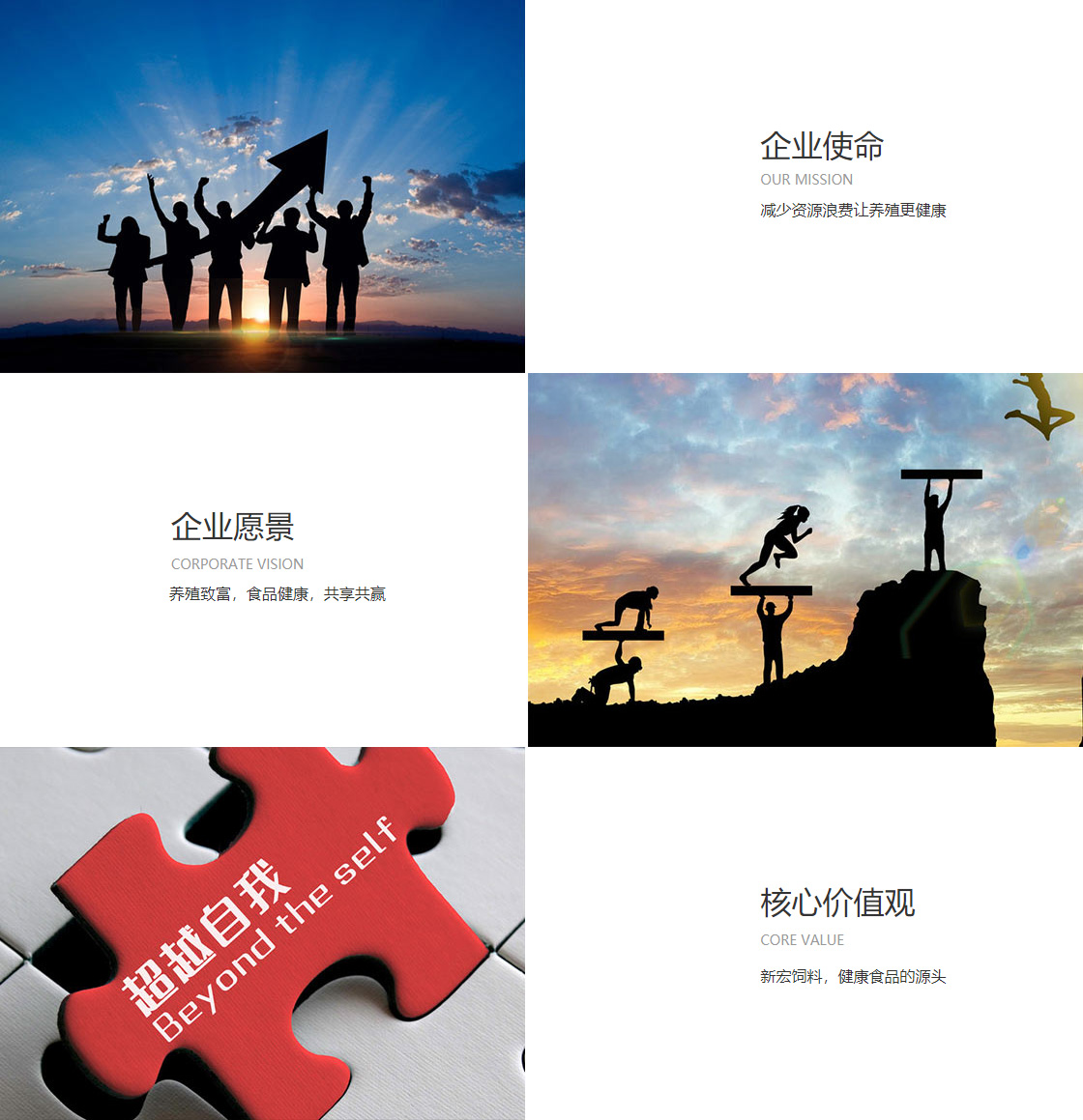开云网站(图1)